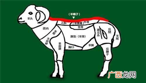 羊蝎子到底是什么？为什么那么多人喜欢吃？看完涨知识了