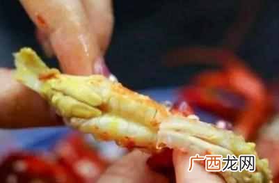 大虾头内是“屎”还是“黄”？许多人不懂，网友：白吃这么多年虾
