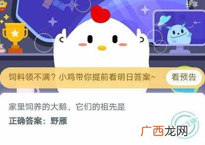 家里饲养的大鹅它们的祖先是？蚂蚁庄园5月15日小鸡宝宝考考你答案