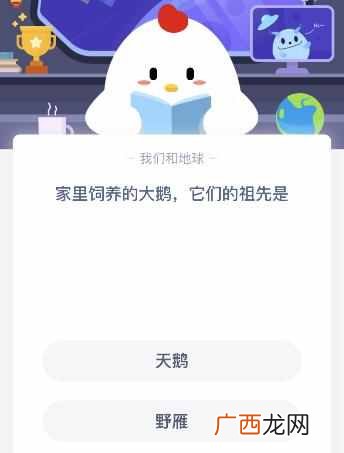 蚂蚁庄园5月15日答案 家里饲养的大鹅，它们的祖先是？