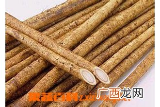 川牛膝图片 中药川牛膝的功效与作用