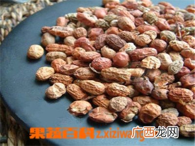 红豆蔻的功效与作用 红豆蔻的药用价值