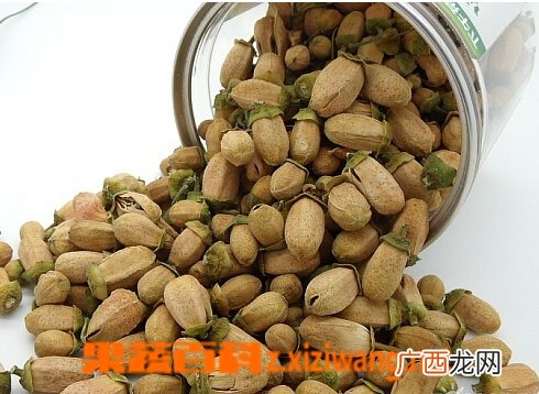 玳玳花是什么 玳玳花的功效与作用