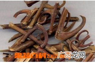 中药钩藤根味归经 中药钩藤根功效作用