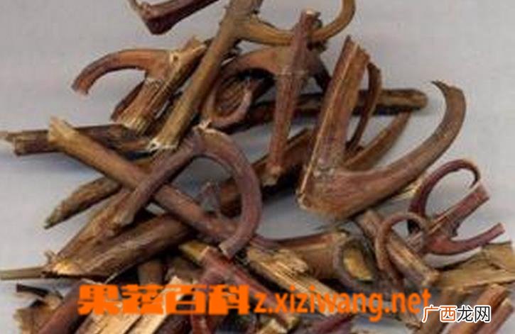 中药钩藤根味归经 中药钩藤根功效作用
