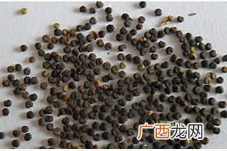 中药白花菜子的功效与作用