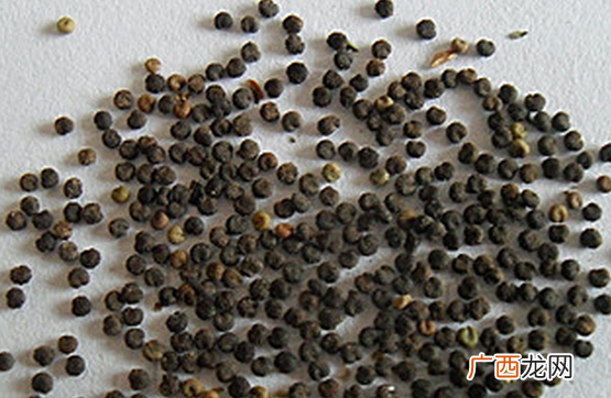 中药白花菜子的功效与作用