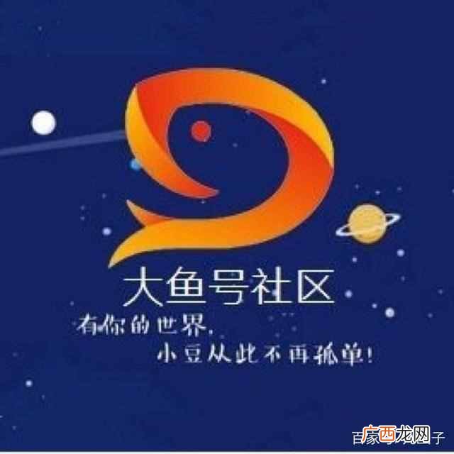 自媒体平台哪个最好，小编真实经历告诉你，坚