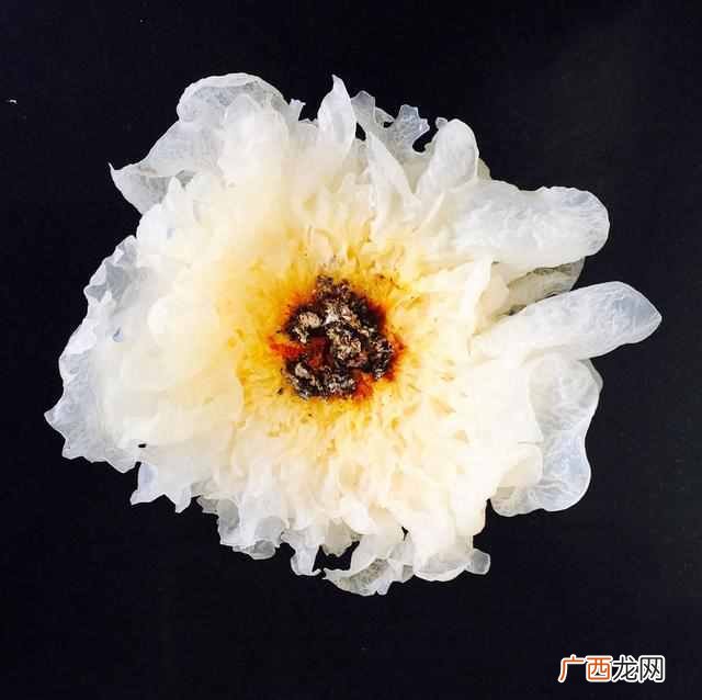 银耳汤的做法及银耳汤功效有哪些！