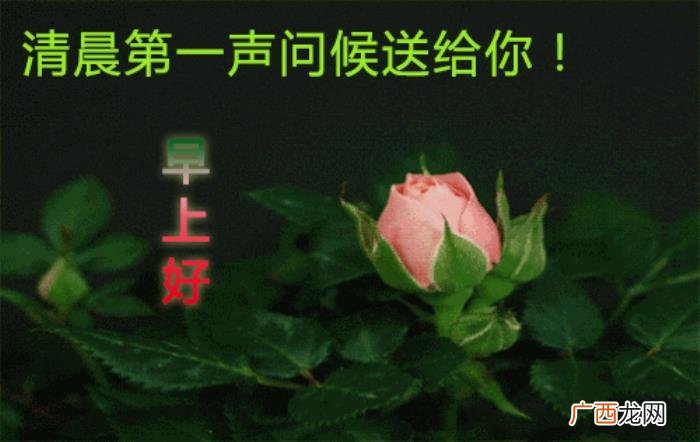 唯有真挚友谊永远不变 愿友谊长存的唯美句子