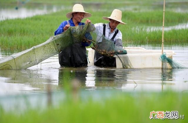 2021年最暴利的行业,农村创业做什么挣钱