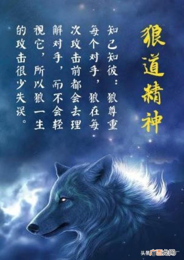 霸气励志语录64条 狼性励志句子