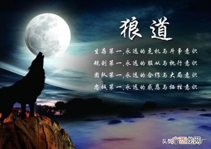 霸气励志语录64条 狼性励志句子