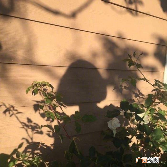 疼到骨子里心碎的短句 疼到骨子里心碎的短文