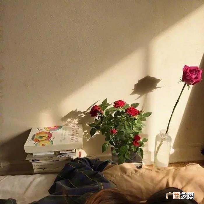 疼到骨子里心碎的短句 疼到骨子里心碎的短文