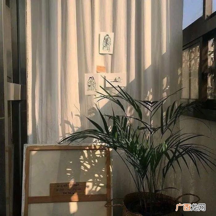 疼到骨子里心碎的短句 疼到骨子里心碎的短文