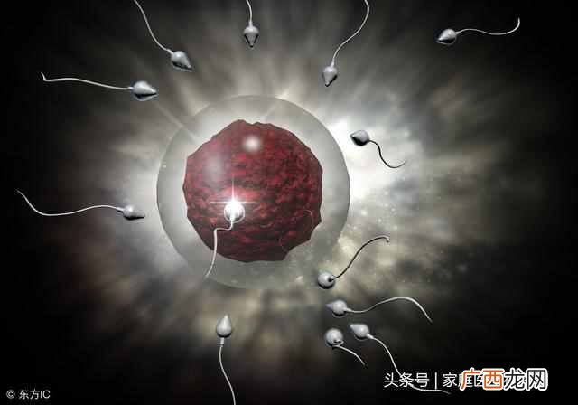 受精卵着床有什么症状？有这3个表现就要恭喜你了