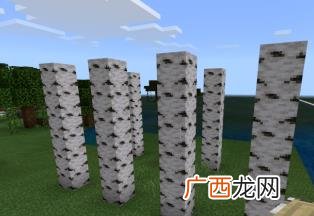 我的世界2020阁楼建筑建造方法