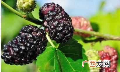 肩周炎的治疗方法有哪些，这两个方法可以缓解