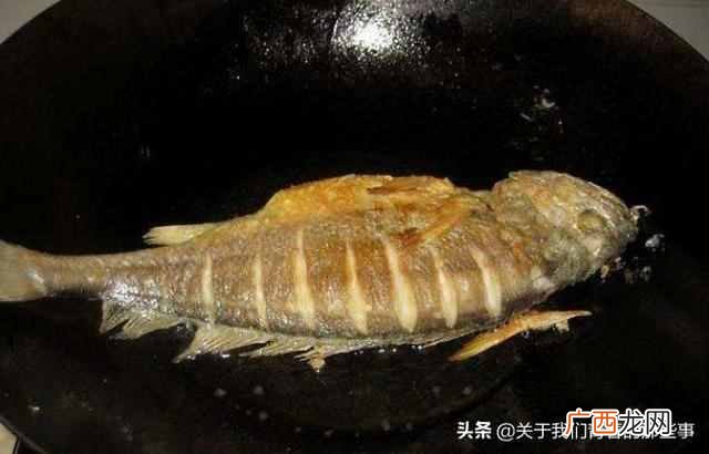 无论煎啥鱼,别直接下锅煎!多做一步,鲜香软嫩,不粘锅不破皮!