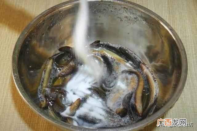 终于找到泥鳅的正确做法，一个小诀窍，不腥不苦，鲜香酥脆超下饭