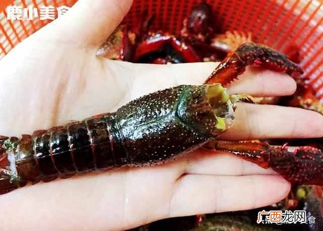 小龙虾逐个刷洗，耗时费劲！教你小妙招，脏物自动洗出