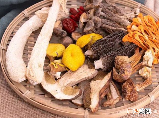 七彩菌菇是哪几种,黑皮鸡枞菌虫草花鸡油菌平菇杏鲍菇茶树菇香菇