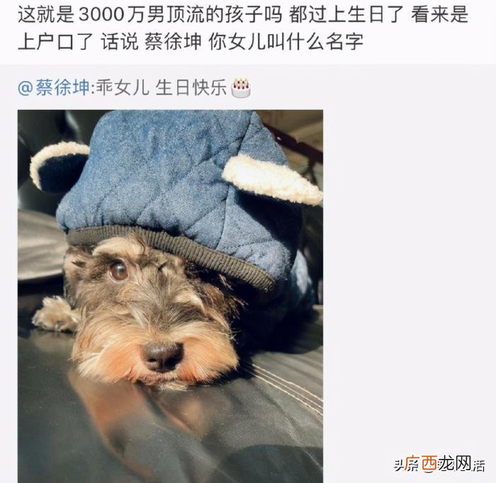 华晨宇和张碧晨现在的关系，原来华晨宇和张碧晨早就在一起了
