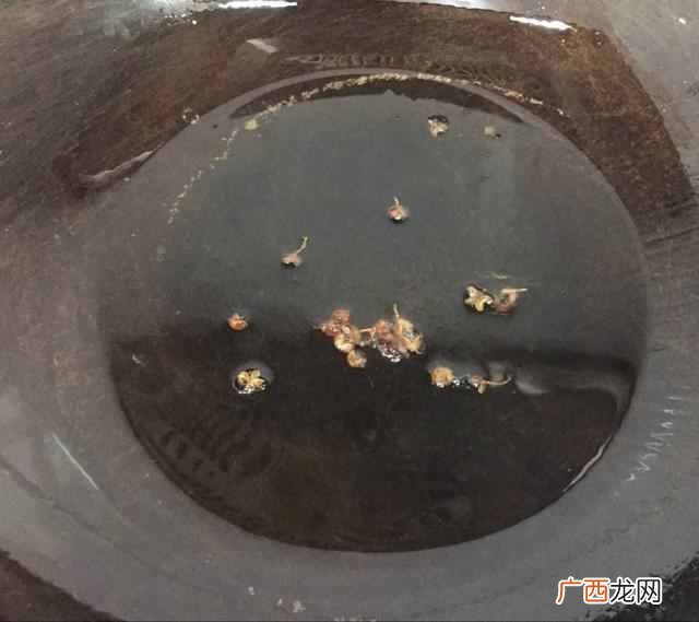 黄豆芽炒粉条的家常做法有哪些！
