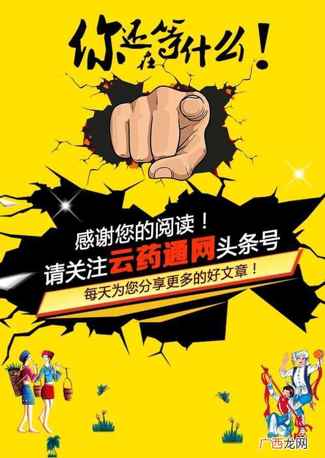 营养粥的做法大全有哪些！