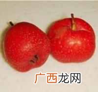 盖浇饭的做法大全，快餐店就是这么做的！