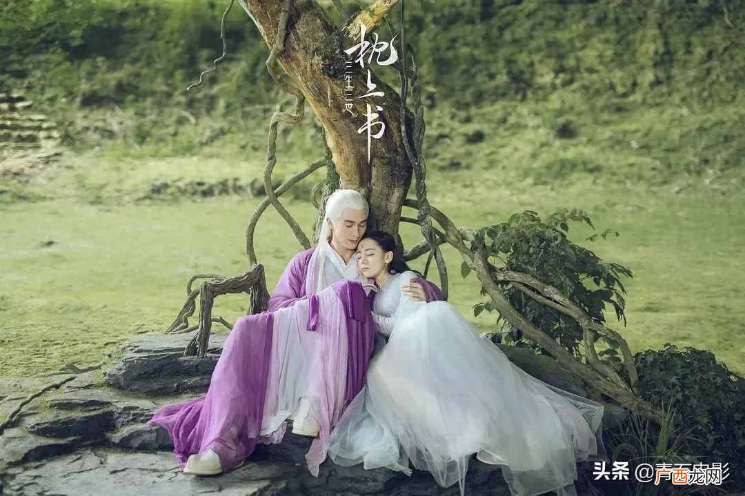 十大口碑电视剧排行榜 最新电视剧评分排行榜