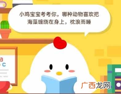 哪种动物喜欢把海藻缠绕在身上睡？蚂蚁庄园5月20日今日答题答案