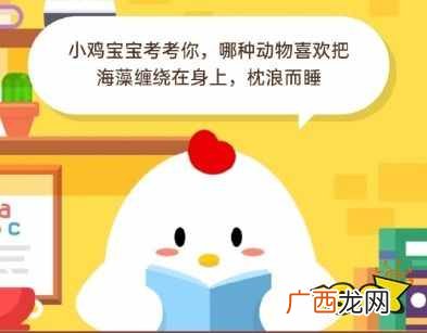 哪种动物喜欢把海藻缠绕在身上,枕浪而睡?5月20日蚂蚁庄园小课堂答
