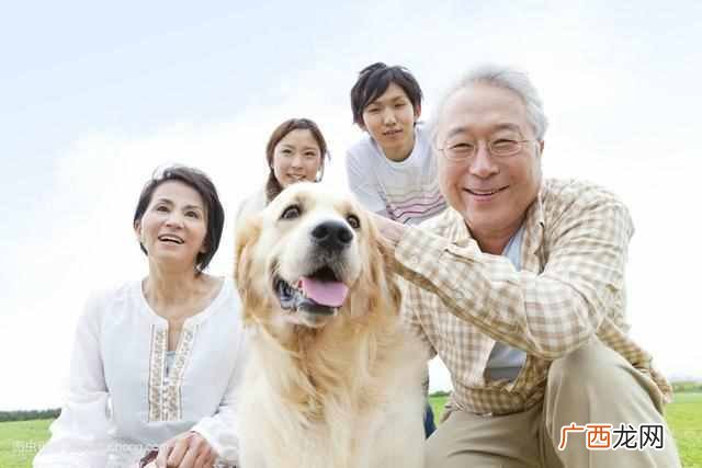 代表特殊寓意的10种礼物 学生党送爸爸礼物排行大全