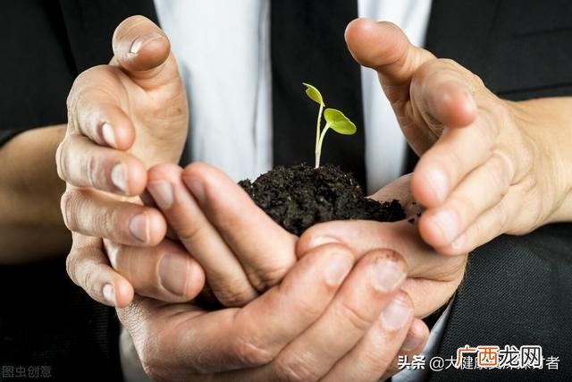 创业小白做什么比较好,生意小白适合做什么生意