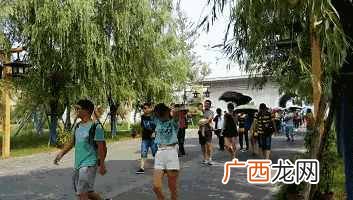 龙门石窟门票多少钱（龙门石窟门票优惠政策有