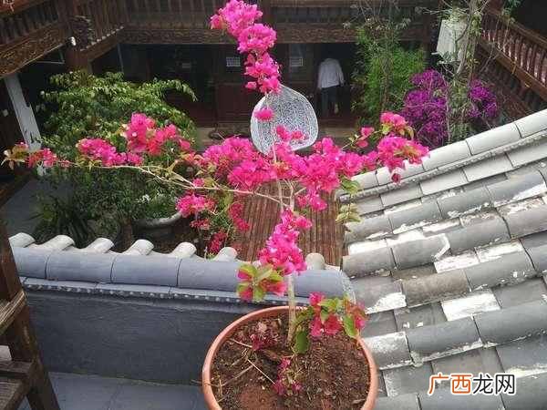 驴友结伴同游游玩攻略（结伴同游注意事项有哪