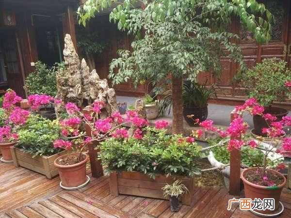 驴友结伴同游游玩攻略（结伴同游注意事项有哪