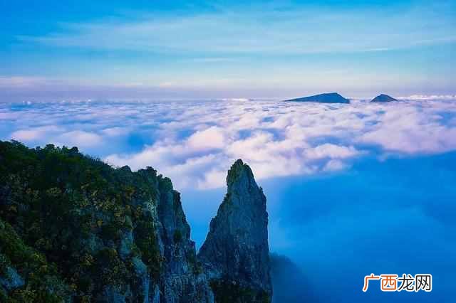 最新剧情介绍 国术无双小说免费看