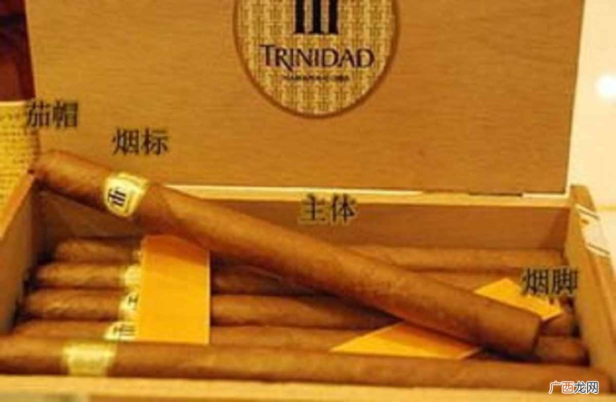 性价比最高的10款名烟介绍 十大名烟排行榜价格表