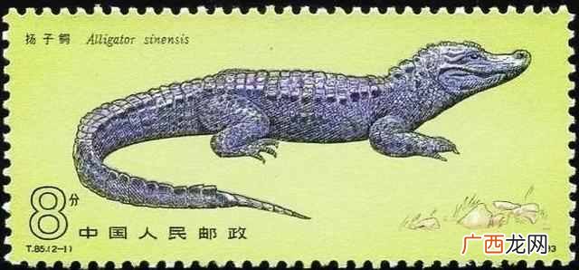 湖北为什么简称“鄂”？