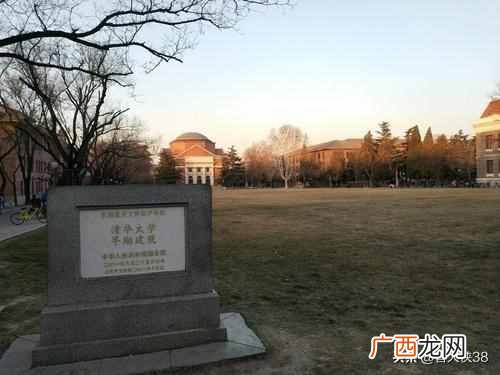 2019什么年属什么生肖，2019什么属相！