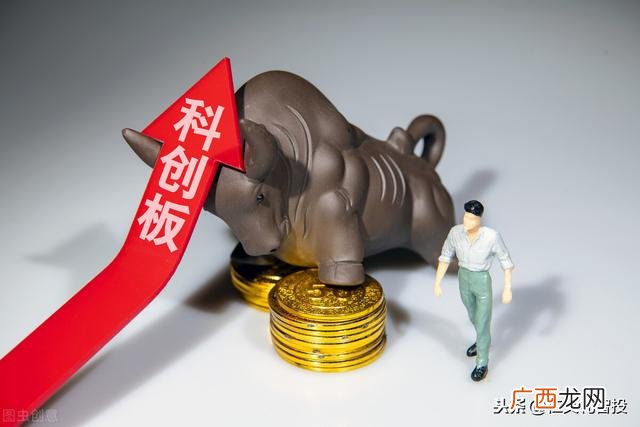 上证和深证的区别,怎么区分创业板和科创板股票