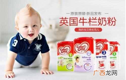 新生儿奶粉排行榜有哪些(新生儿喝奶粉需要注