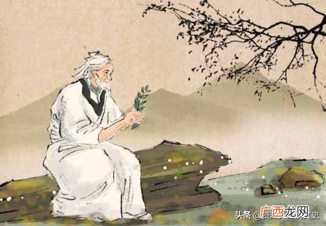 饺子的来历简介（观文一览饺子习俗由来)