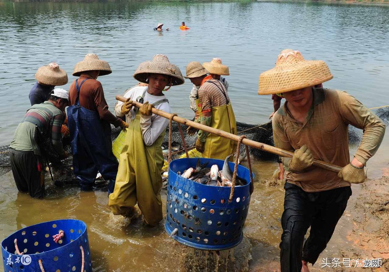 推荐这8个致富项目 北部湾什么生意好做赚钱