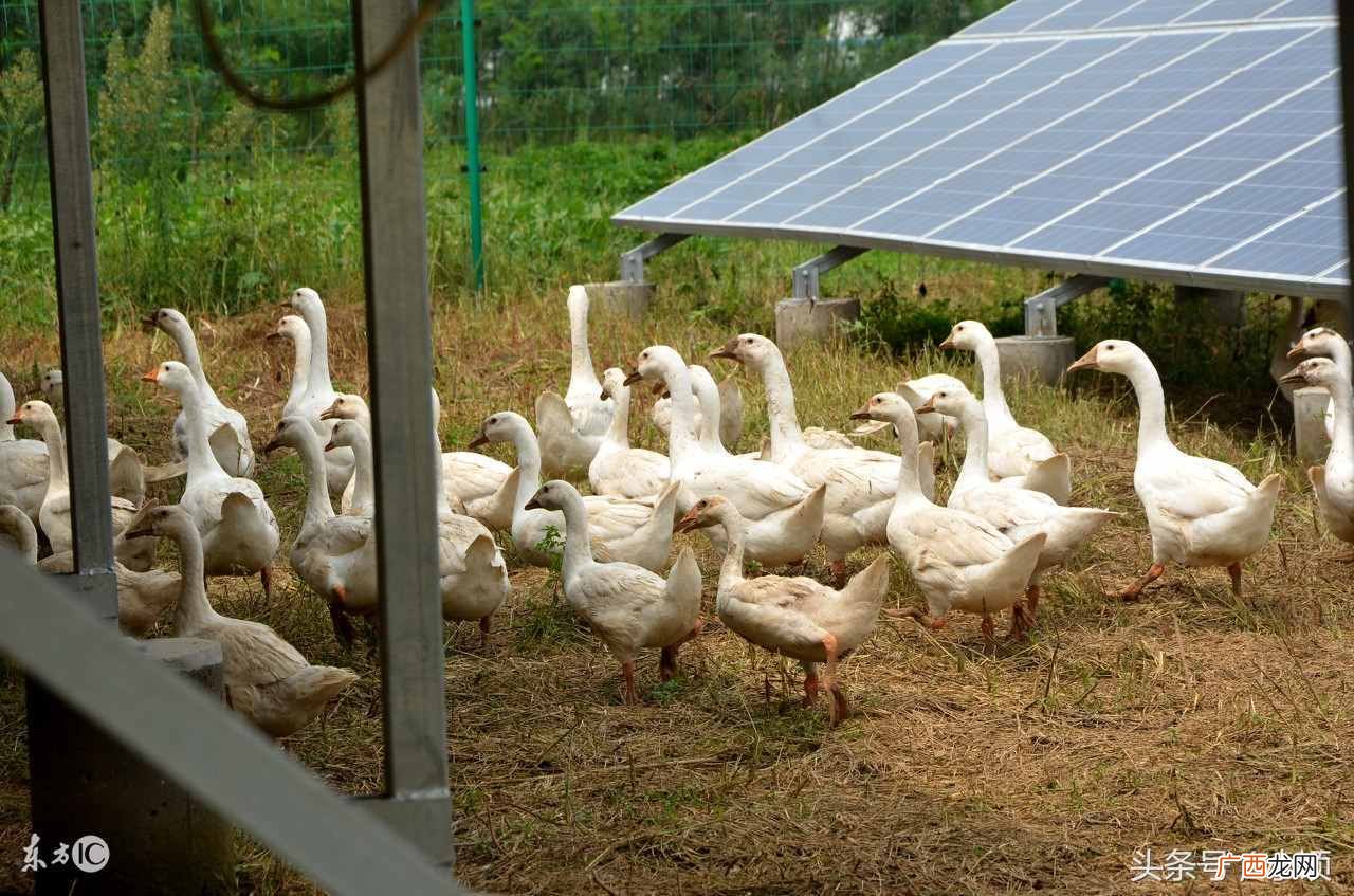 推荐这8个致富项目 北部湾什么生意好做赚钱
