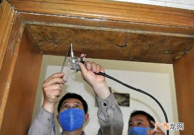 推荐 最有效的白蚁防治方法