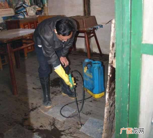 推荐 最有效的白蚁防治方法